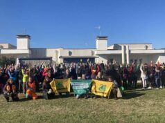 Il bilancio arboreo di Castel Maggiore: quanti e quali alberi ci sono sul territorio, ma anche quanto verde pubblico