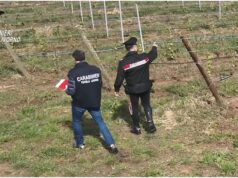 Ospiti Cas sfruttati nei campi, 10 arresti per Caporalato in Toscana