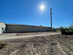 I bambini di Gualtieri, protagonisti attivi di un progetto educativo ambientale e di inclusione sociale