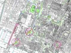 Per contrastare il clima arrivano a Carpi 1.300 tra alberi, erbacee e arbusti