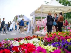 A Castelfranco Emilia torna la Festa di Primavera, il 20 e 21 aprile