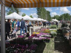 Il 20 e 21 aprile 2024 torna a Guastalla Georgica