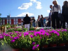 Maranello: festa di primavera tra fiori, shopping e auto da sogno