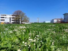 Parco zona San Francesco a Nonantola, in arrivo le risorse per la sua valorizzazione
