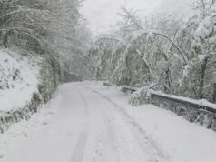 Nevicata di primavera, pochi disagi nel Reggiano