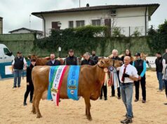 Varia e Barbye: le rosse reggiane più belle a Cavriago con oltre mille persone per la fiera Bue Grasso