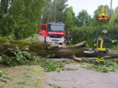 Maltempo: numerosi interventi dei vigili del fuoco a Reggio e Provincia