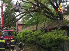 Maltempo: alcuni interventi dei Vigili del fuoco nel reggiano per alberi caduti