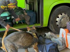 Sequestro di stupefacenti e merce contraffatta durante i controlli della GdF in Autostazione e centro storico di Bologna