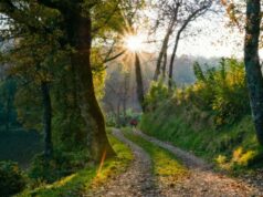 Il 1° Festival dei Sentieri a Castel d’Aiano