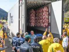 Made in Italy, Coldiretti: al Brennero scoperte cosce di maiale danesi e uva indiana