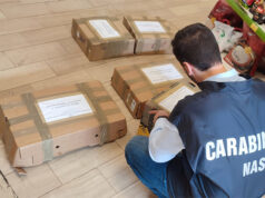 Nas Parma: controlli alimenti per animali da compagnia, sequestri e sanzioni