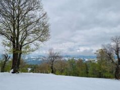 Online sul sito della Regione i dati turistici del primo trimestre 2024: in aumento gli arrivi +9,3% sul 2023 e le presenze +9,9%