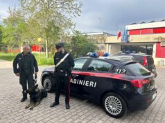 Carabinieri e cinofili nelle scuole di Scandiano per controlli preventivi