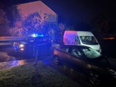 Due veicoli rubati trovati dai carabinieri in una zona defilata di Gualtieri