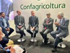 Filiera del pomodoro da industria, il nuovo progetto di Mediterranea