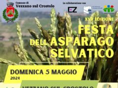 Il 5 maggio torna la Festa dell’Asparago Selvatico a Vezzano