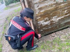 Base dello spaccio a “cielo aperto” a Correggio