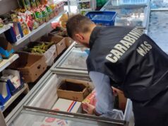 Sequestro di prodotti alimentari non conformi presso un minimarket etnico di Castelfranco Emilia