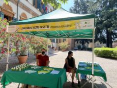 Zanzara tigre, da venerdì 24 maggio a Vignola distribuzione del prodotto larvicida