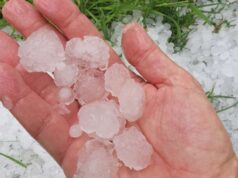 Maltempo, Coldiretti: la grandine danneggia i frutteti