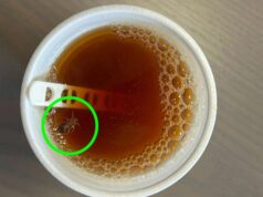 UIL Scuola RUA: Blatte e insetti nel distributore delle bevande, succede in una scuola di Modena