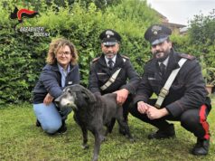 Emergenza alluvionale: a Savignano i Carabinieri salvano un cane intrappolato nel fango