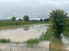 Nubifragio, Coldiretti: i danni in campagna