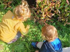 Centri estivi ‘Zeroseiplus’ nell’Unione Terre di Castelli e nel comune di Montese