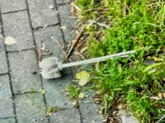 Nel dubbio, ecco dove ti lascio lo scovolino…