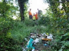 Protezione Civile, C.E.P. e S.A.P. al lavoro per ripulire Vezzano sul Crostolo