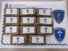 Ares, il cane della Polizia Locale, scova un chilo di hashish in Montagnola a Bologna