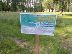 Un’area di sfalcio differenziato al Parco della Memoria di Correggio