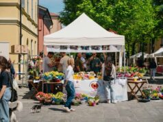 I fiori protagonisti della terza domenica di maggio a Soliera