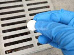 Infezioni trasmesse da zanzare: rinnovare i trattamenti larvicidi dove si formano ristagni d’acqua