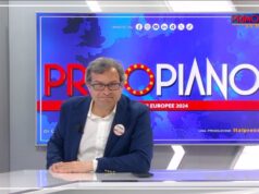 Pedullà “Nostra idea di Ue è inclusiva, puntiamo su pace e transizione”