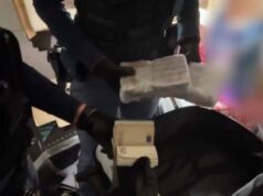 Reggio Emilia, operazione “Last” contro il traffico di sostanze stupefacenti