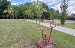 Parco della Cappuccina, progetto di ripopolamento arboreo
