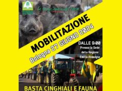 “Basta cinghiali”: mobilitazione degli agricoltori emiliano romagnoli domani di fronte al palazzo della Regione
