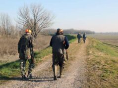 Controlli della Polizia provinciale sulla peste suina africana