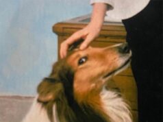 Sassuolo, cimitero dedicato agli animali, Severi (FI): “Se al governo della città, onoreremo subito l’impegno del Consiglio e realizzeremo l’opera”