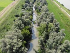 Fiume Reno, al via nuovi interventi di manutenzione nel bolognese e nel ferrarese: 1,3 milioni di euro contro il rischio idraulico