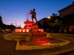 Giornata del donatore di sangue, gli eventi Avis in provincia di Modena