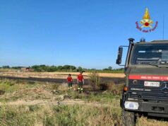 Sterpaglie a fuoco ieri in due campi incolti di Imola