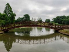 Castelnuovo, iniziative green per inaugurare la riqualificazione del lago del Parco Rio Gamberi