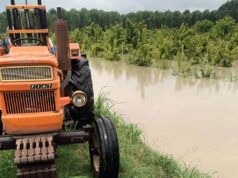 Maltempo, Coldiretti Modena: pesante strascico di danni anche in campagna
