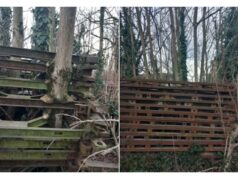 Savignano sul Panaro: all’asta 100 tonnellate di materiale ferroso da ponte bailey