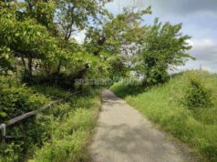 Riaperto il Percorso Natura Secchia