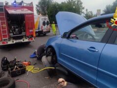 Salvataggio di un animale all’interno del vano motore di un auto in prossimità del casello di Modena sud