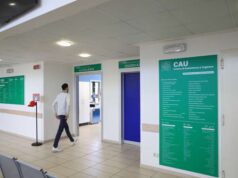 CAU provincia di Bologna: il piano di attività estiva